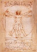 LEONARDO da Vinci Rule fur the proportion of the human figure oil painting artist